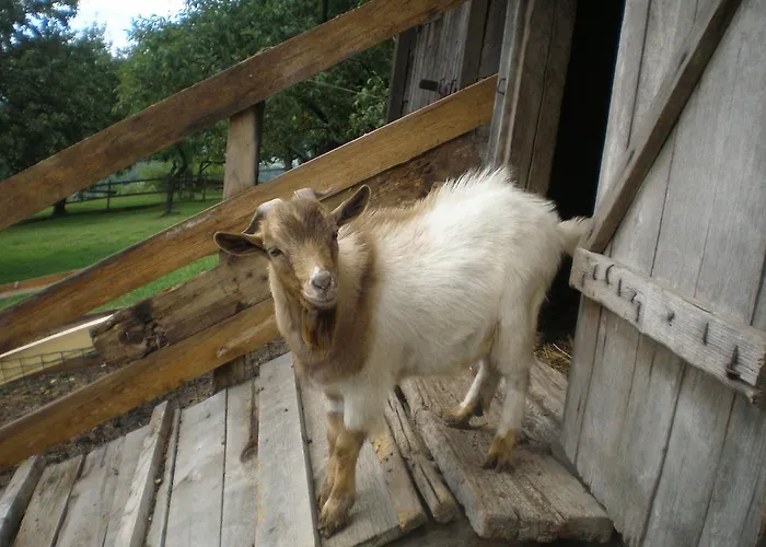 Pri Lazarju Farm Stay