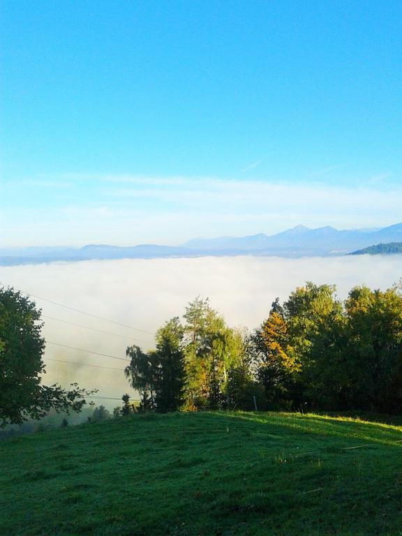 Alloggio per agriturismo Pri Lazarju Farm Podgrad (Osrednjeslovenska)