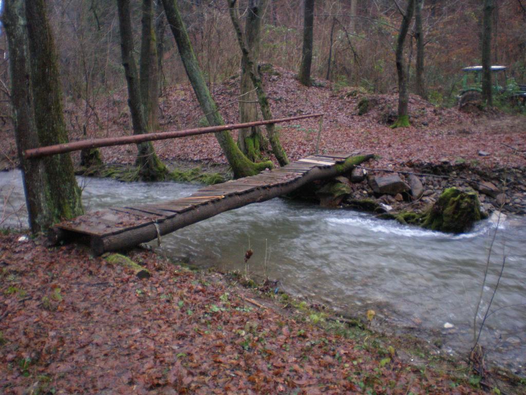 Alloggio per agriturismo Pri Lazarju Farm Podgrad (Osrednjeslovenska)